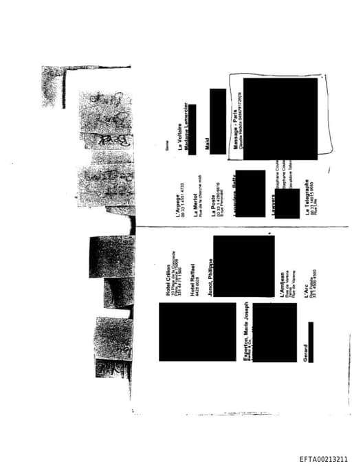 Preview of EFTA00213211