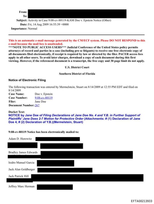 Preview of EFTA00213933