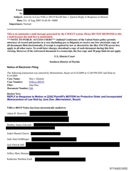 Preview of EFTA00213935