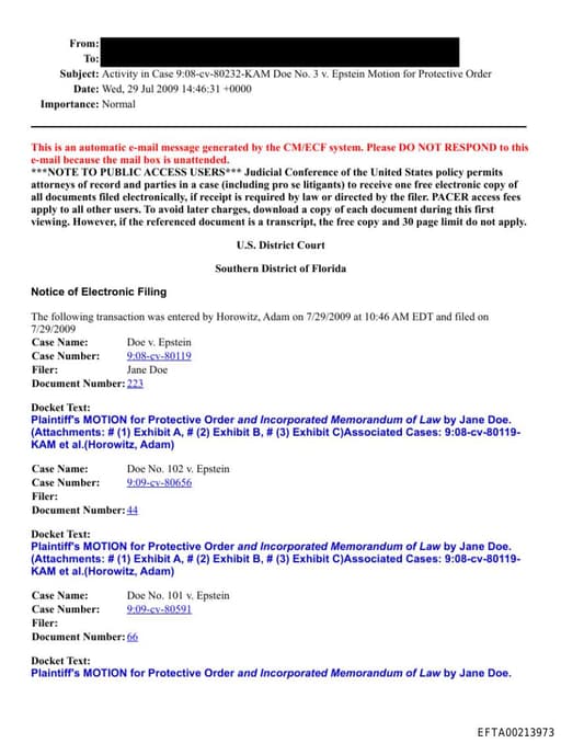 Preview of EFTA00213973