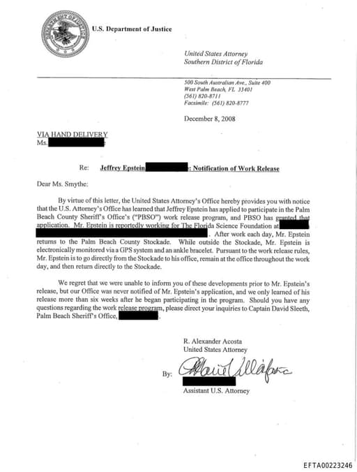 Preview of EFTA00223246