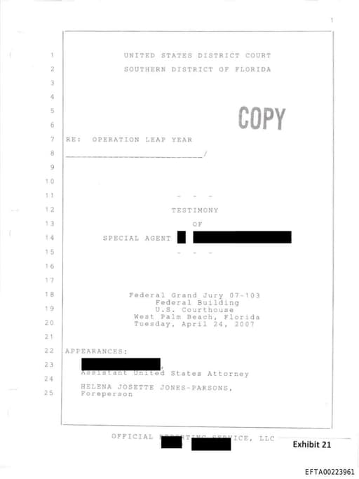 Preview of EFTA00223961