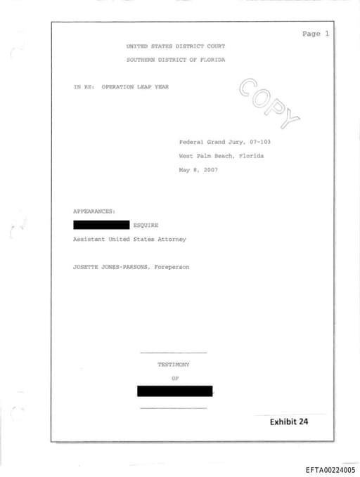 Preview of EFTA00224005