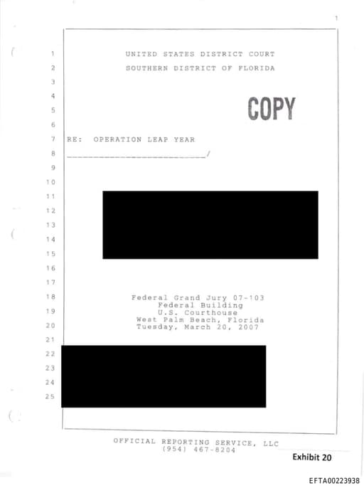 Preview of EFTA00223938