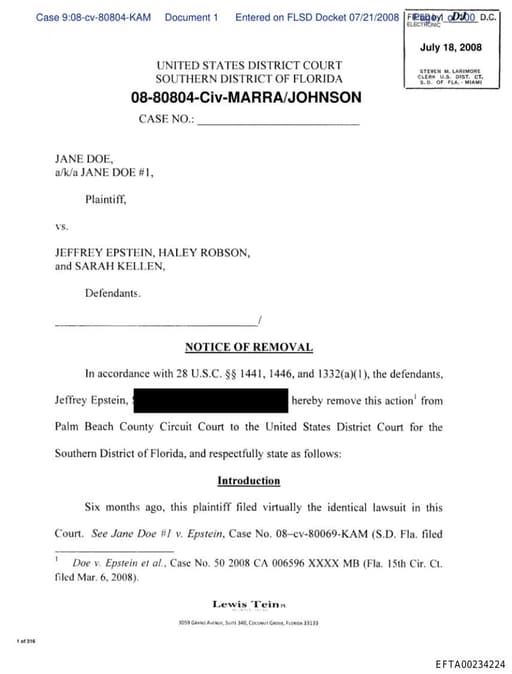 Preview of EFTA00234224