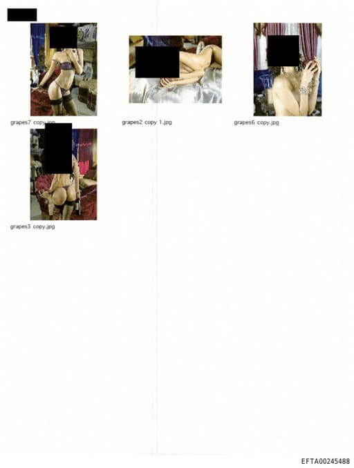 Preview of EFTA00245488