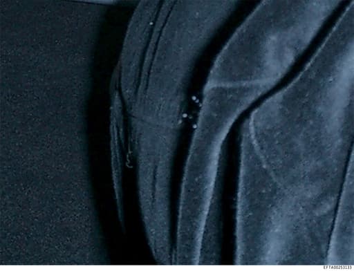 Preview of EFTA00253133