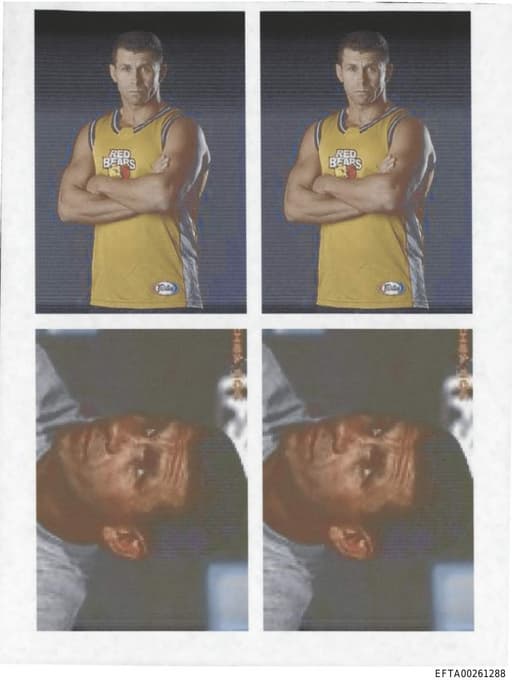 Preview of EFTA00261288