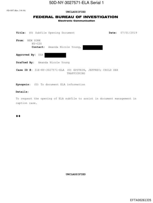 Preview of EFTA00261335