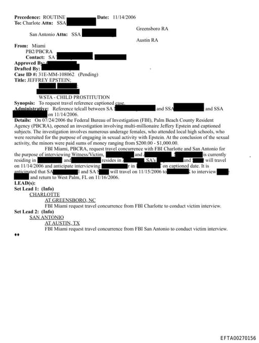 Preview of EFTA00270156