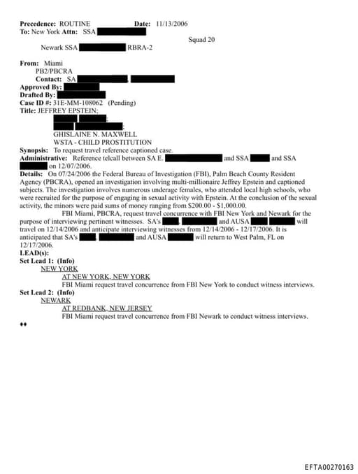 Preview of EFTA00270163