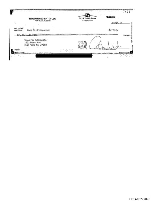 Preview of EFTA00272873