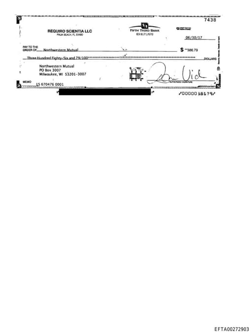 Preview of EFTA00272903