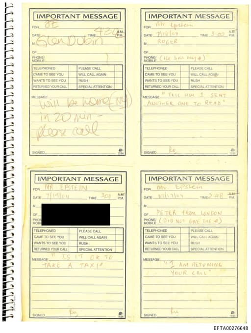 Preview of EFTA00276648