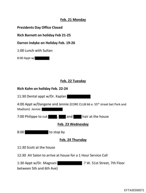 Preview of EFTA00300071