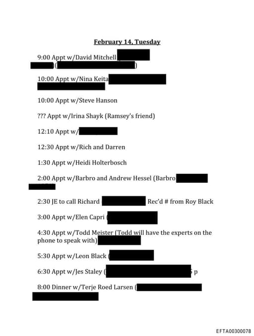 Preview of EFTA00300078