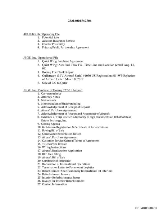 Preview of EFTA00300480