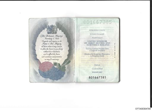 Preview of EFTA00304704