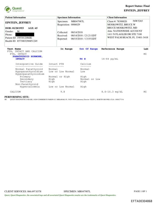 Preview of EFTA00304868