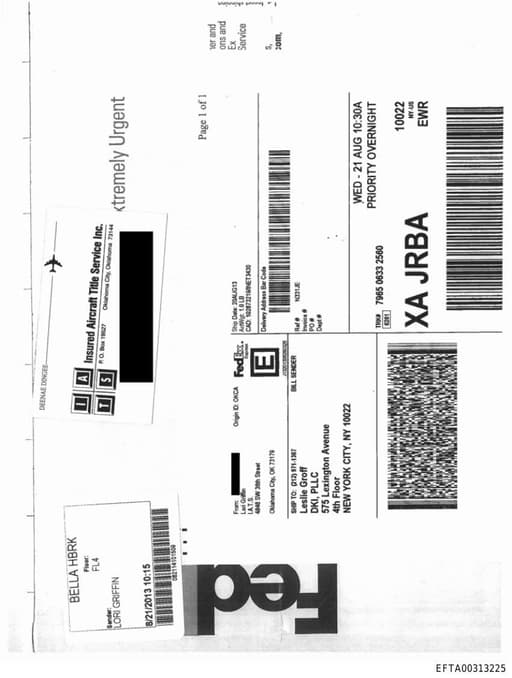 Preview of EFTA00313225