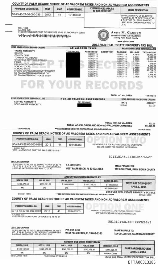 Preview of EFTA00313285