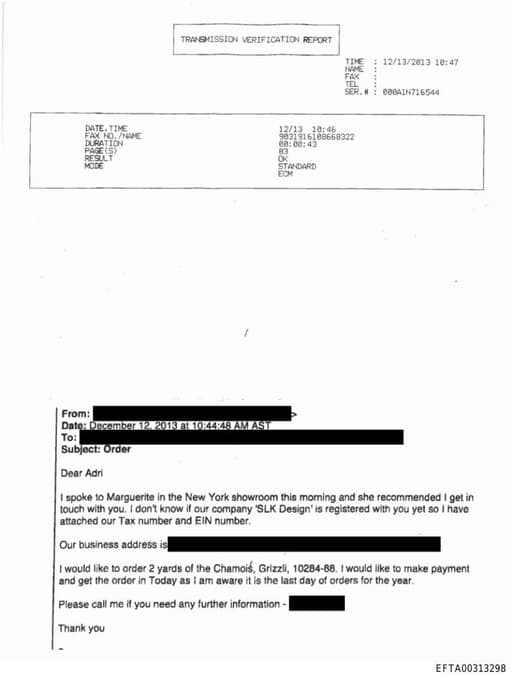 Preview of EFTA00313298