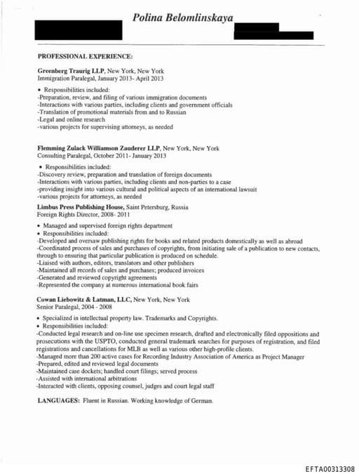 Preview of EFTA00313308