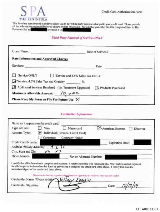 Preview of EFTA00313333