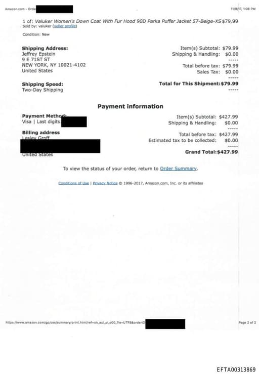 Preview of EFTA00313869