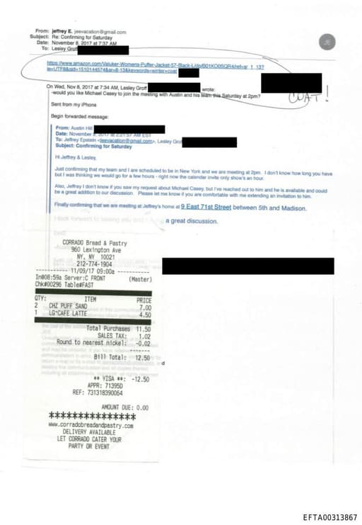 Preview of EFTA00313867