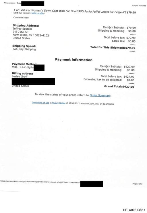 Preview of EFTA00313863