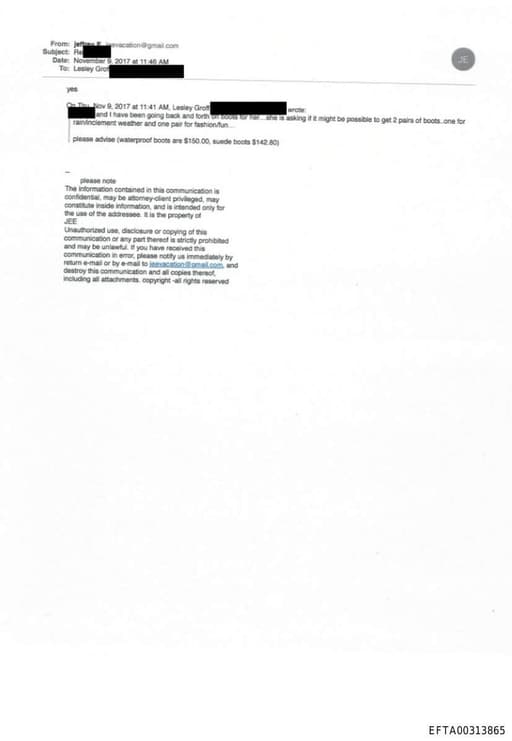 Preview of EFTA00313865