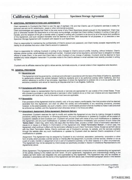 Preview of EFTA00313901