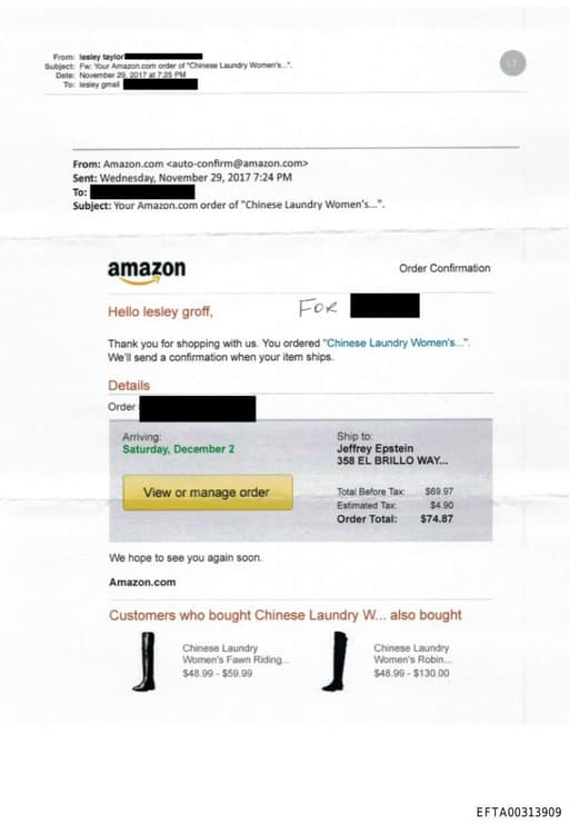 Preview of EFTA00313909