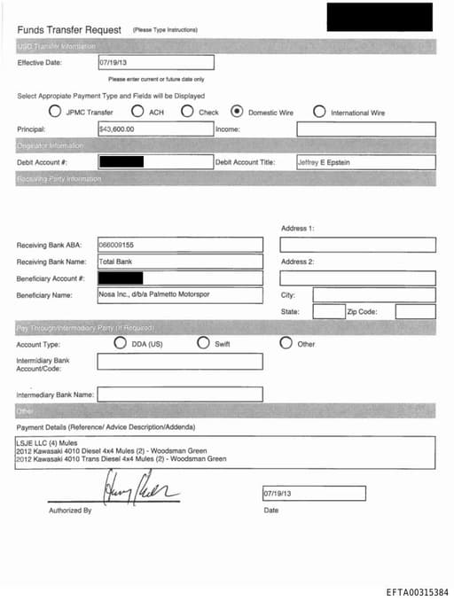 Preview of EFTA00315384