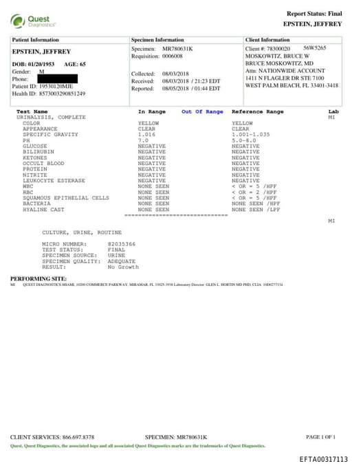 Preview of EFTA00317113