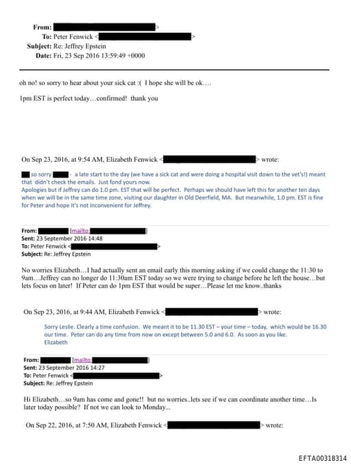 Preview of EFTA00318314