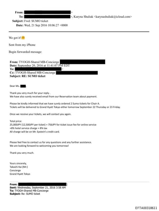 Preview of EFTA00318611