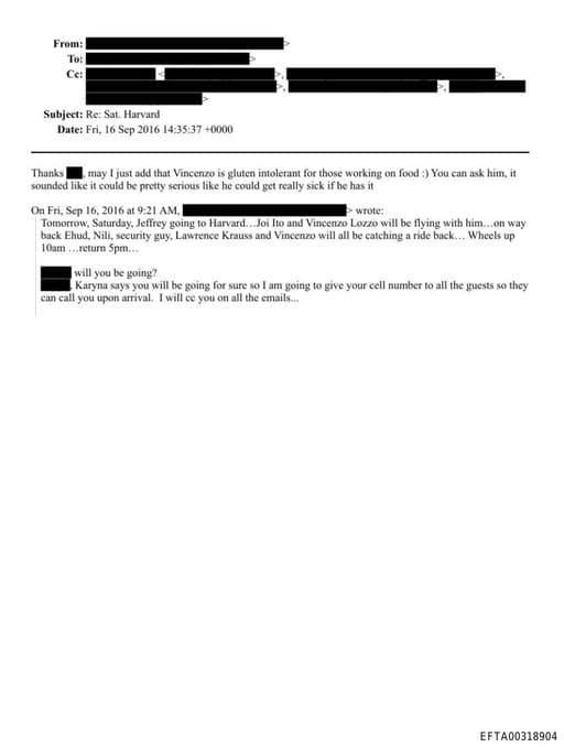 Preview of EFTA00318904