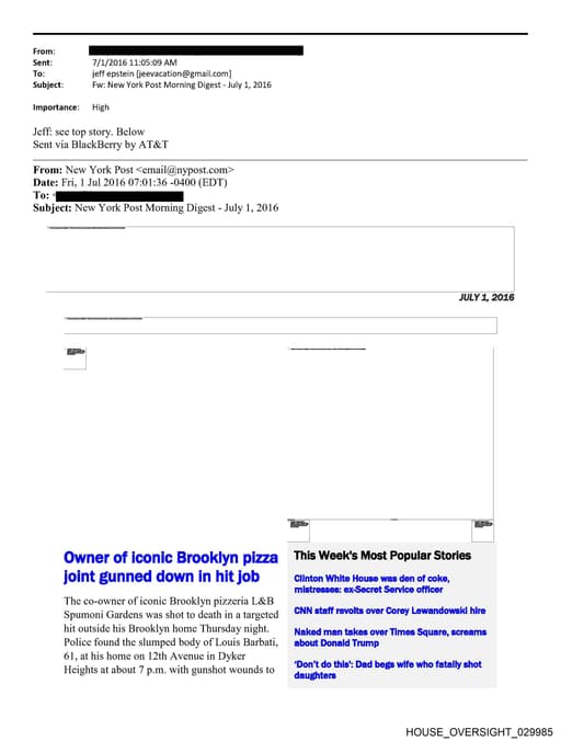 Preview of HOUSE_OVERSIGHT_029985