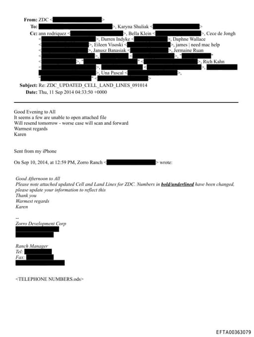 Preview of EFTA00363079