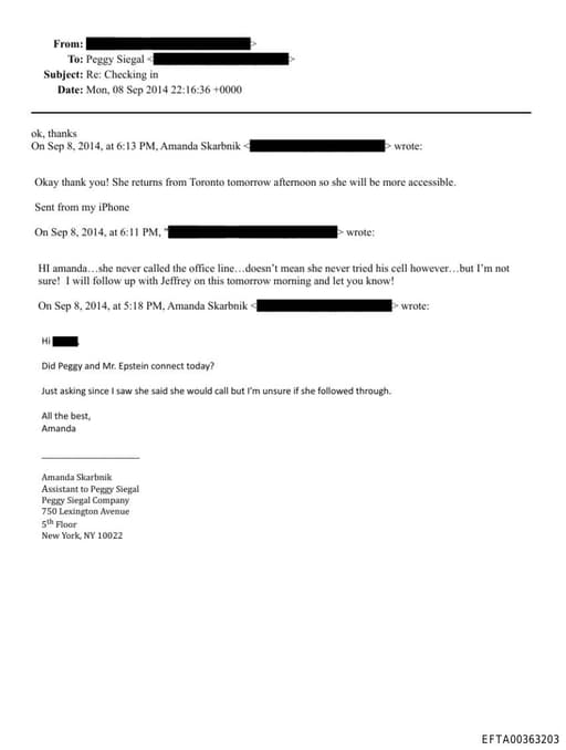 Preview of EFTA00363203