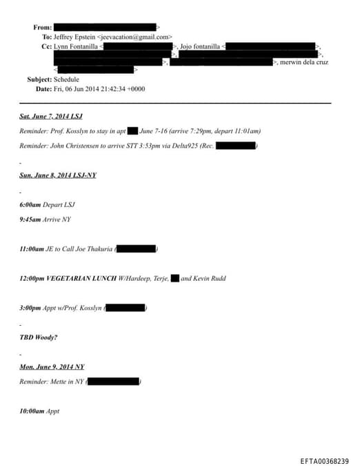 Preview of EFTA00368239