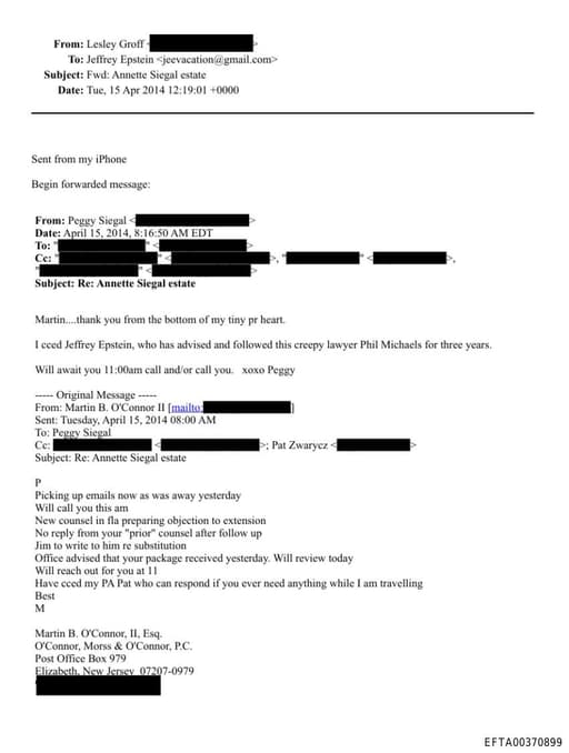 Preview of EFTA00370899