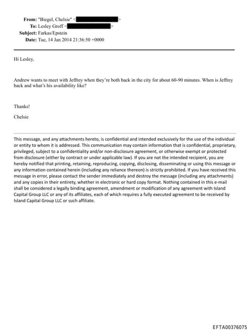 Preview of EFTA00376075