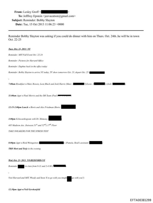 Preview of EFTA00381299