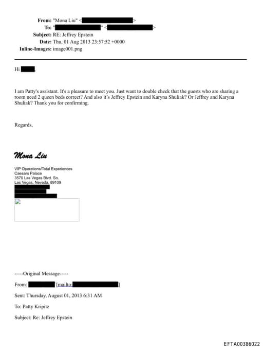 Preview of EFTA00386022