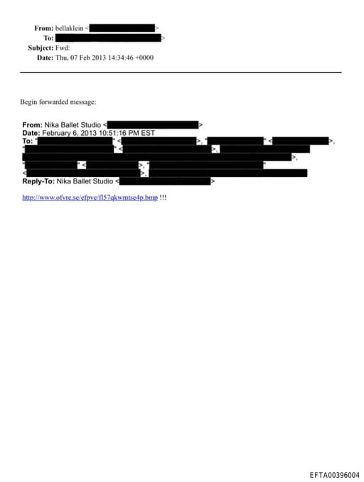 Preview of EFTA00396004