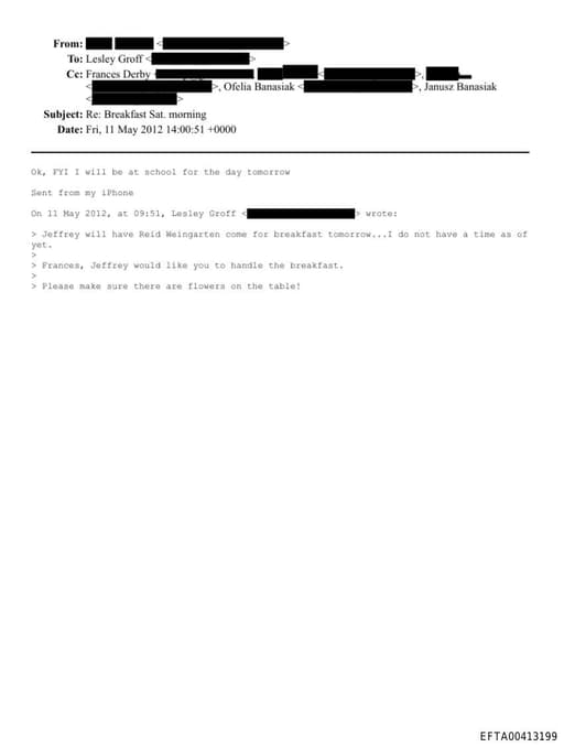 Preview of EFTA00413199