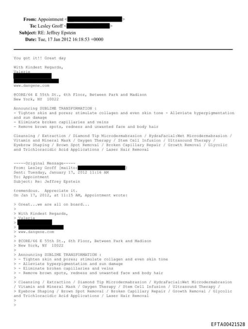 Preview of EFTA00421528